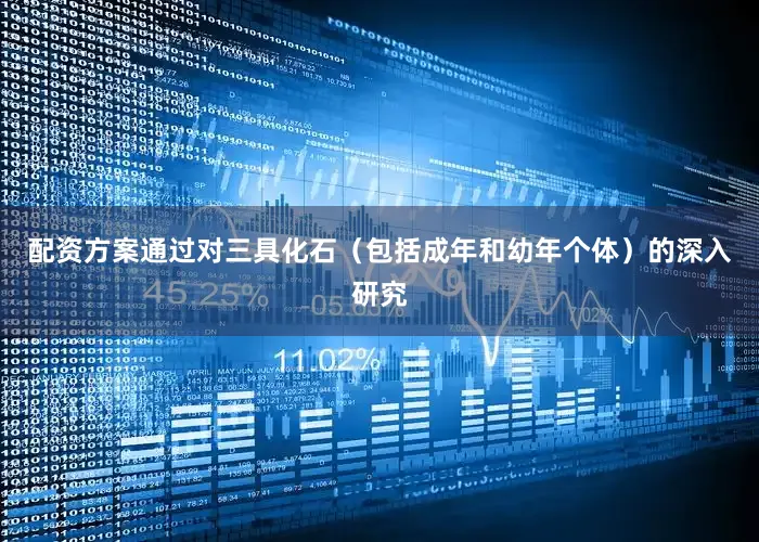 配资方案通过对三具化石（包括成年和幼年个体）的深入研究