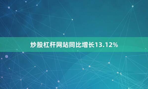 炒股杠杆网站同比增长13.12%