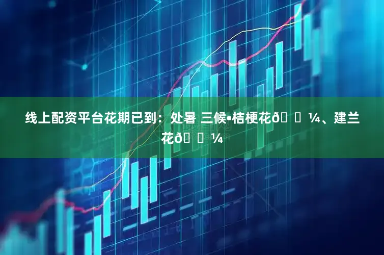 线上配资平台花期已到：处暑 三候•桔梗花🌼、建兰花🌼